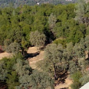 Meet your Posher, Sergio